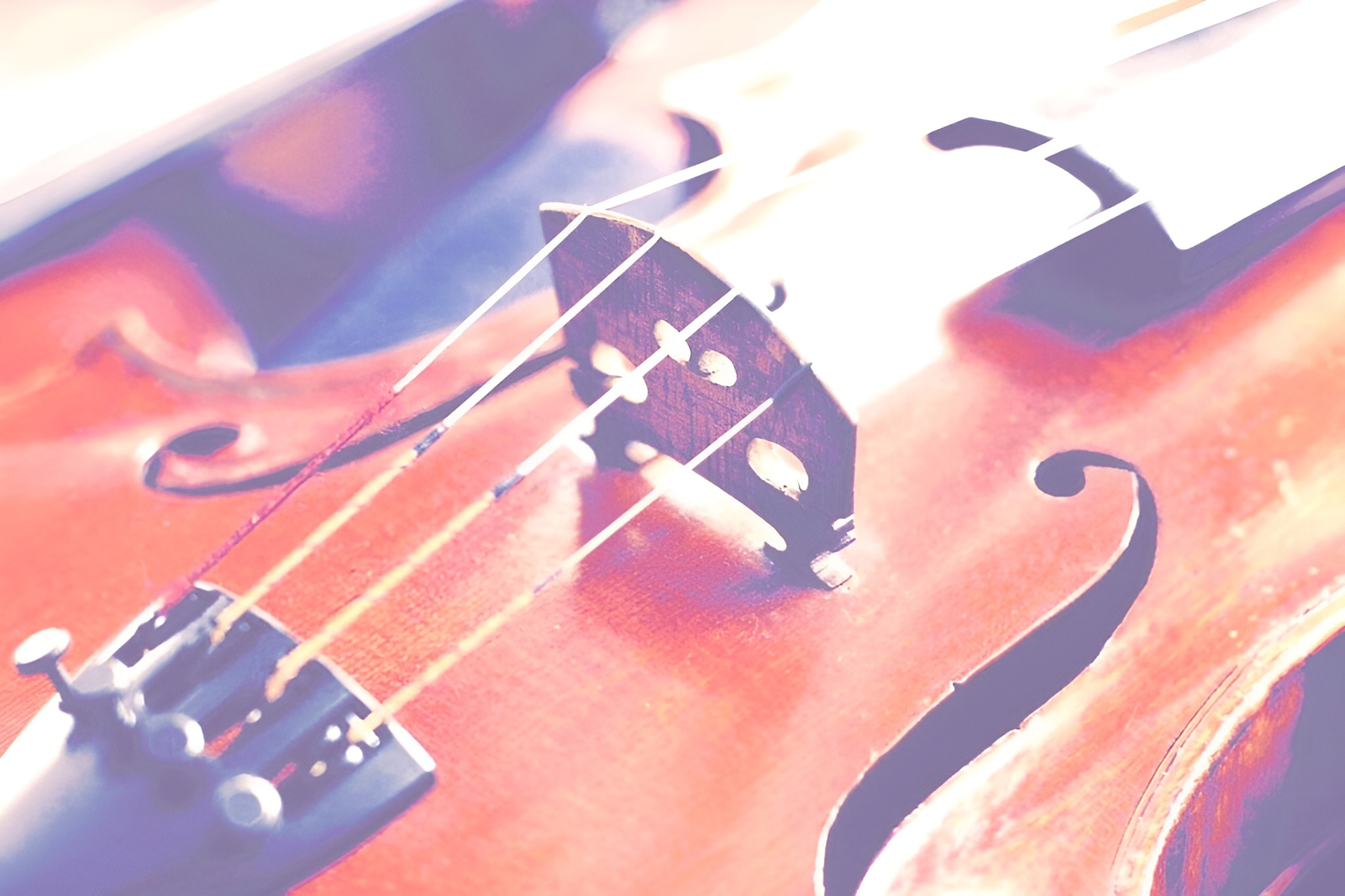 Sydney Ensemble String Quartet Classical Music 38