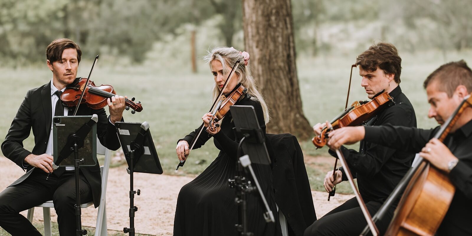 Wedding string quartet 1